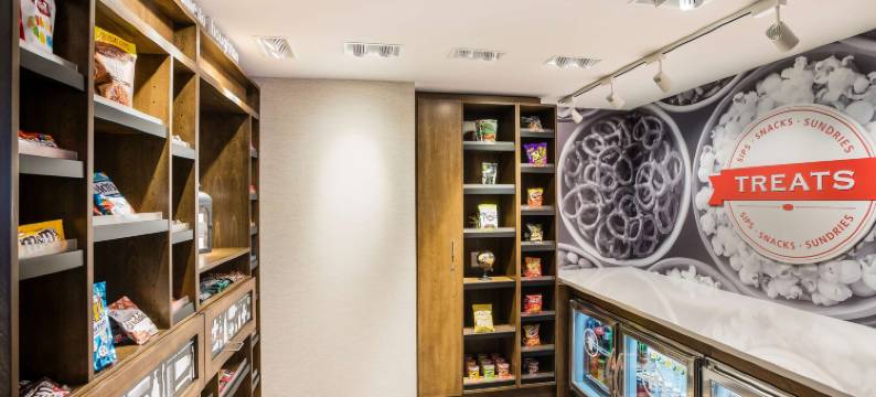 霍顿汉普顿套房酒店(Hampton Inn & Suites by Hilton Houghton)图片