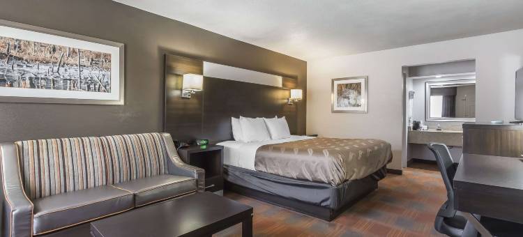 北斯图加特凯艺套房酒店(Quality Inn & Suites Stuttgart North)图片