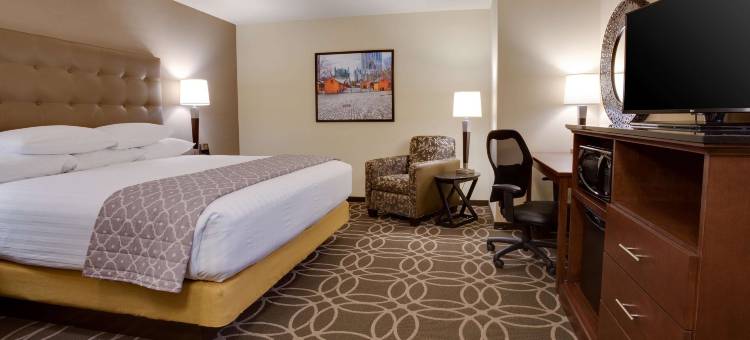 匹兹堡市中心德鲁里广场酒店(Drury Plaza Hotel Pittsburgh Downtown)图片