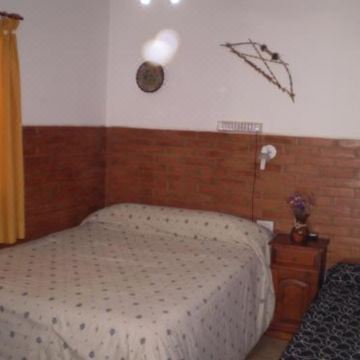 Hotel Foxes(Hotel Foxes)图片