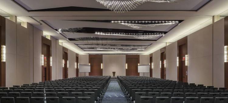 泰森斯角中心凯悦酒店(Hyatt Regency Tysons Corner Center)图片