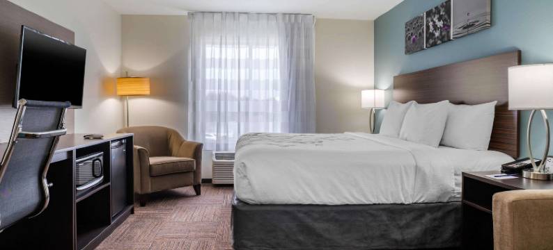 近威斯切斯舒眠套房酒店(Sleep Inn & Suites Near Westchase)图片