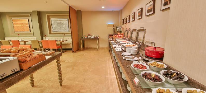 伊斯坦布尔塔克西姆华美达酒店(Ramada by Wyndham Istanbul Taksim)图片