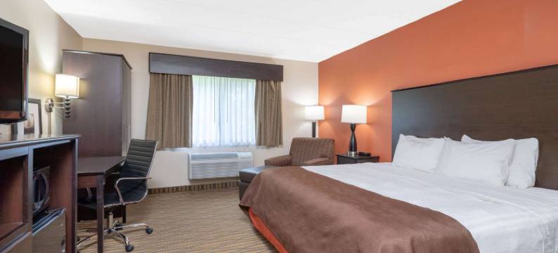 罗杰斯温德姆美吟温德姆酒店(AmericInn by Wyndham Rogers)图片