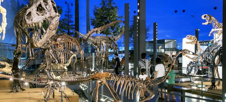 宝永日式旅馆(Houei Ryokan)图片