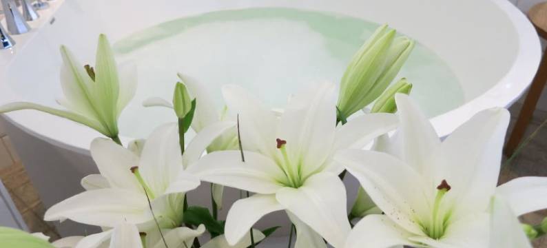 Sigtuna Stadshotell图片