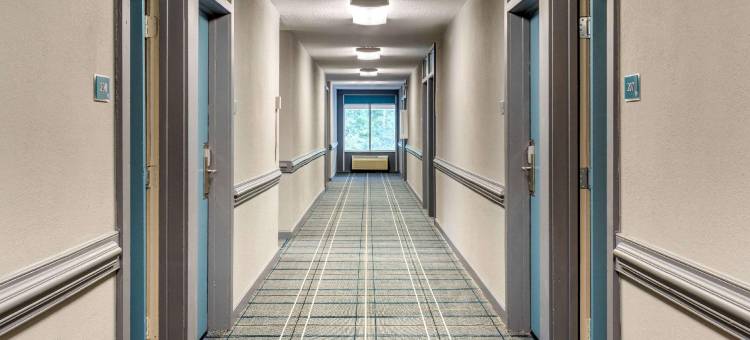 埃佩克斯-霍利斯普林斯凯艺套房酒店(Quality Inn & Suites Apex-Holly Springs)图片