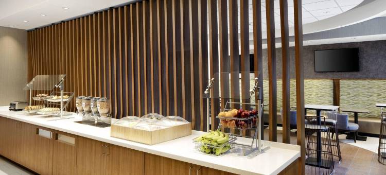 印第安纳波利斯市中心SpringHill套房(SpringHill Suites Indianapolis Downtown)图片