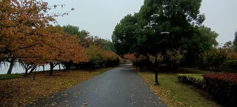 小金豆豆公寓(科锐路分店)图片