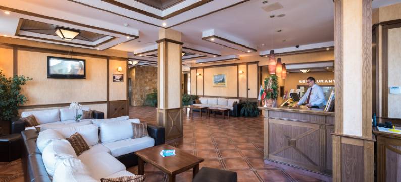 埃维莉娜宫殿酒店(Evelina Palace Hotel)图片