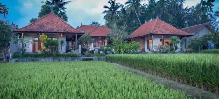 乌布赫荣别墅(Villa Heron Ubud)图片
