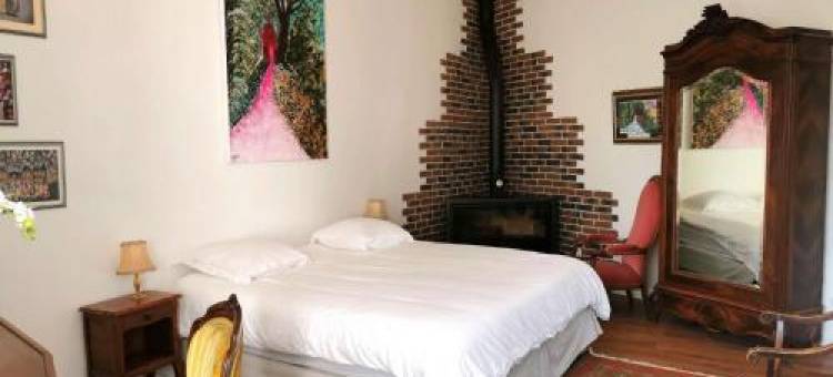 Château de Swann图片