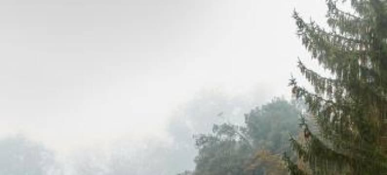 Villa la Commenda Concordia图片