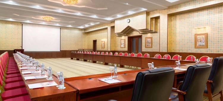 让斯温德姆华美达广场酒店(Ramada Plaza by Wyndham Gence)图片