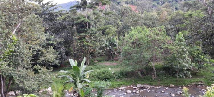 阿格罗维萨塔酒店(Hotel Agrowisata)图片