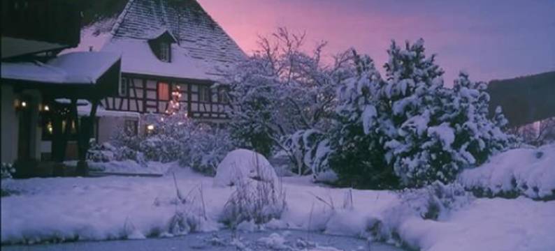 祖姆克鲁兹兰迪迪2酒店(Landidyll Hotel Zum Kreuz)图片