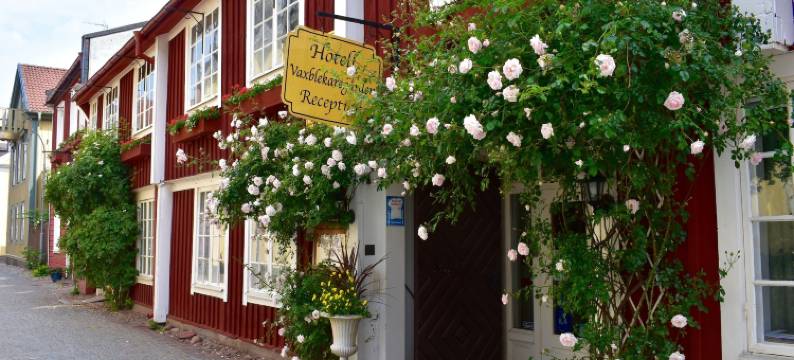 韦克斯伯勒卡里加登酒店(Hotell Vaxblekaregården)图片