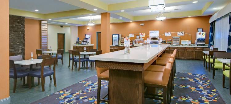 莫纳汉斯I-20智选假日套房酒店(Holiday Inn Express & Suites Monahans I-20)图片