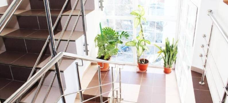 埃利泽酒店(Elizeu Hotel)图片