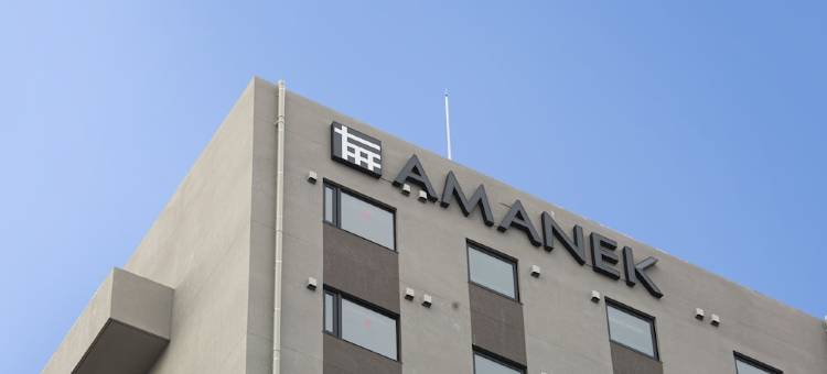 阿玛内克酒店-蒲田站前(HOTEL AMANEK Kamata-Eki Mae)图片