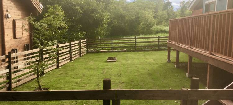 大正(Daisho)图片