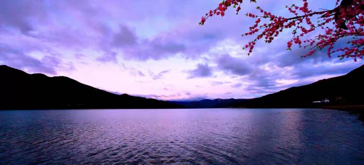 浪卡子酷途星空营地图片