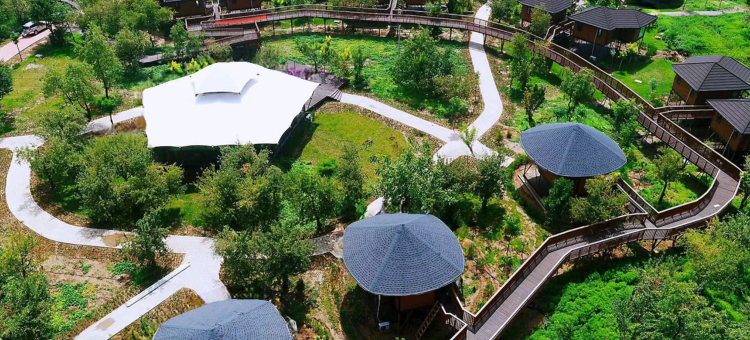 中宁丰安屯旅游度假区民宿图片