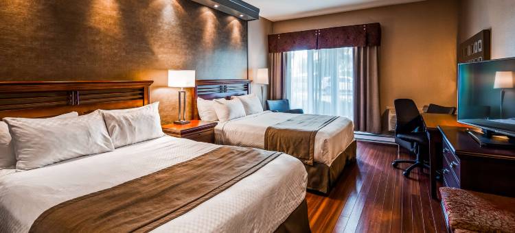 贵族贝斯特韦斯特精品酒店(Best Western Premier Hotel Aristocrate)图片