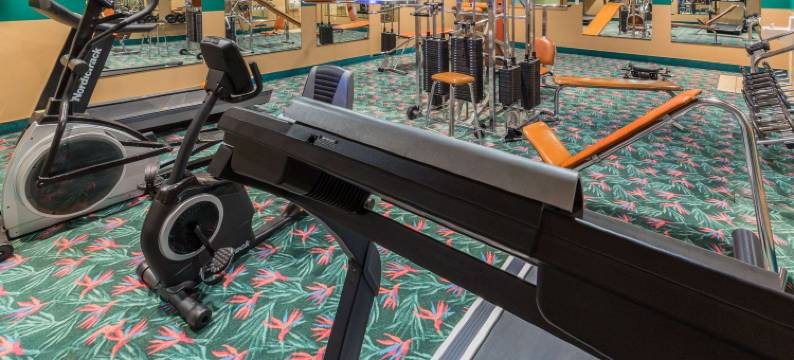 布莱克贝尔温德姆戴斯酒店(Days Inn by Wyndham Black Bear)图片