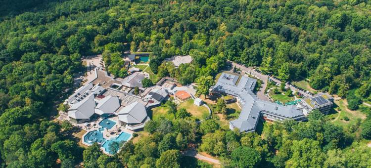 佛莱堡多林特温泉酒店(Dorint Thermenhotel Freiburg)图片