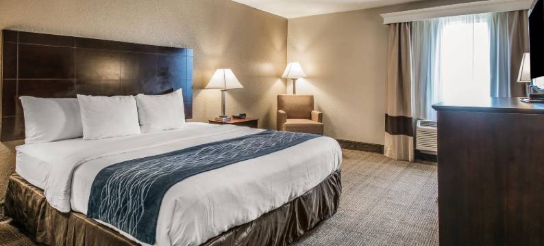 舒适套房酒店-近迪兰大学(Comfort Inn & Suites DeLand - Near University)图片