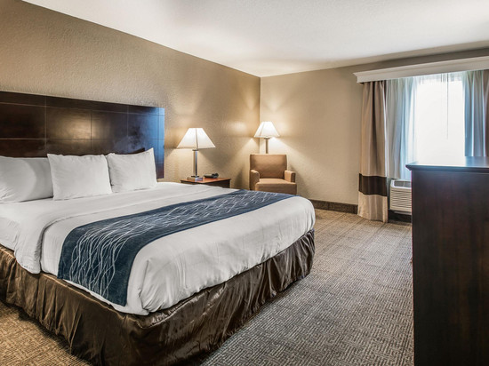 舒适套房酒店-近迪兰大学