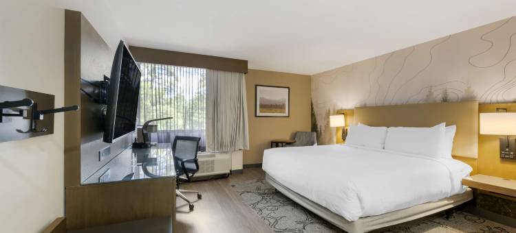 Aiden贝斯特韦斯特酒店@费拉格尔斯塔夫(Aiden by Best Western @ Flagstaff)图片