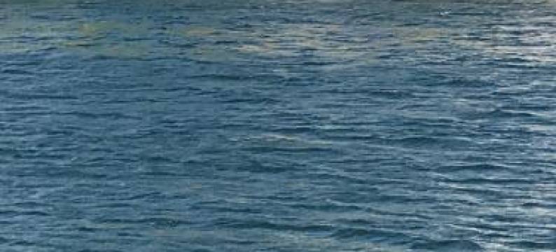 拉鲁勒住宿加早餐酒店(B&B la Ruelle)图片