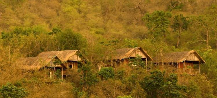 河燕鸥小屋(The River Tern Lodge - Junglelodges)图片