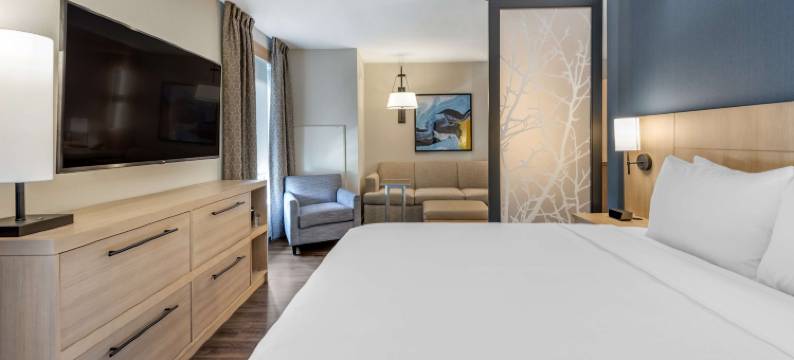 印第安纳波利斯卡梅尔凯悦嘉轩酒店(Hyatt Place Indianapolis Carmel)图片