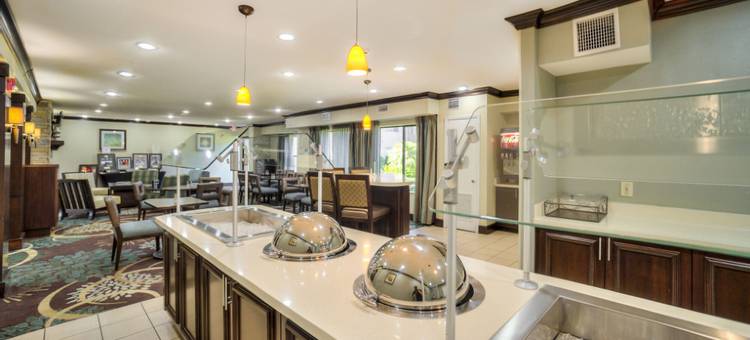 休斯顿威洛布鲁克 249 公路温德姆速 8 酒店(Super 8 by Wyndham Houston/Willowbrook/Hwy 249)图片