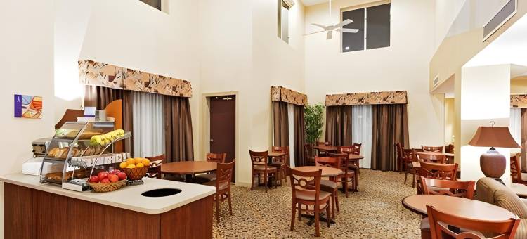 舒适套房酒店(Comfort Inn & Suites)图片