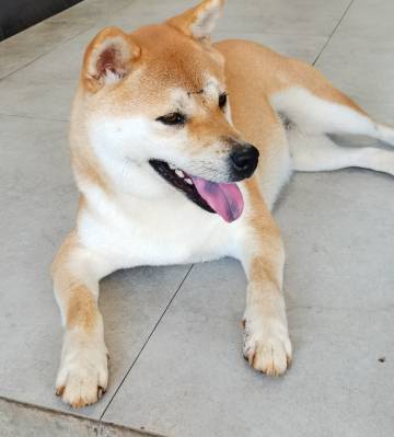 不负韶光·园林度假民宿(韶山故居店)图片