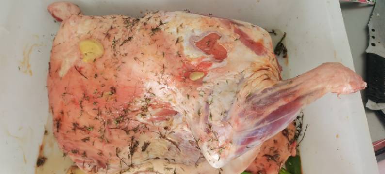 塞罕坝温馨农家院图片