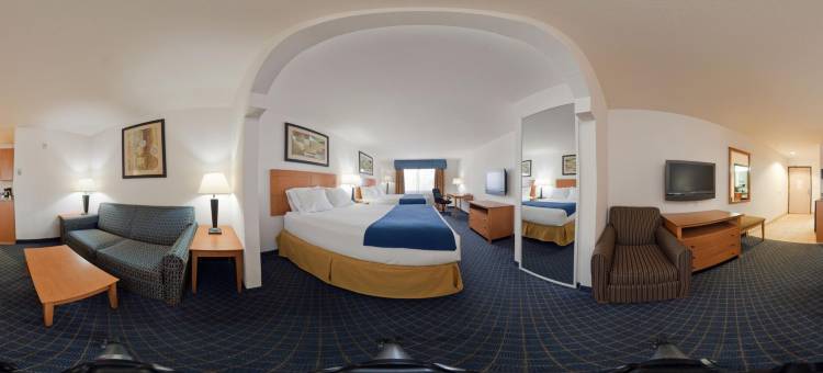 智选假日套房酒店卡尔斯巴德 by IHG(Holiday Inn Express & Suites Carlsbad by IHG)图片