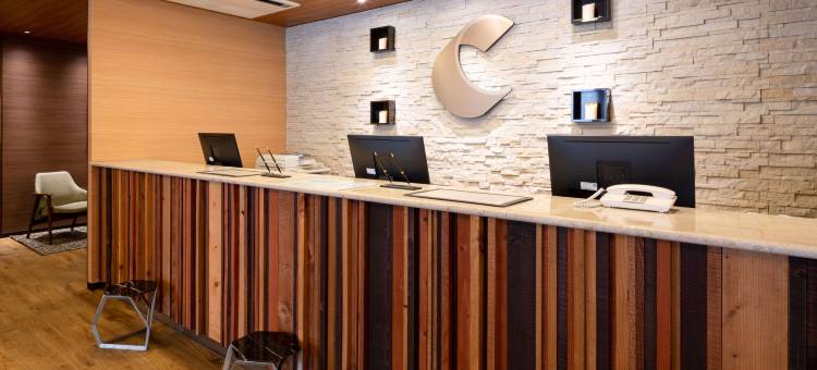 奈良舒适酒店(Comfort Hotel Nara)图片