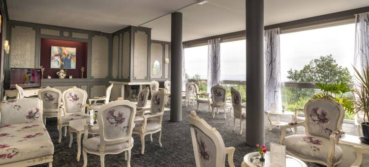 阿勒克桑餐厅及康体中心酒店(Alexain Hotel Restaurant & Wellness - Colmar Ouest)图片