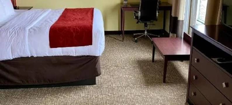 岩石丘曼彻斯特梅多斯区舒适套房酒店(Comfort Suites Rock Hill Manchester Meadows Area)图片