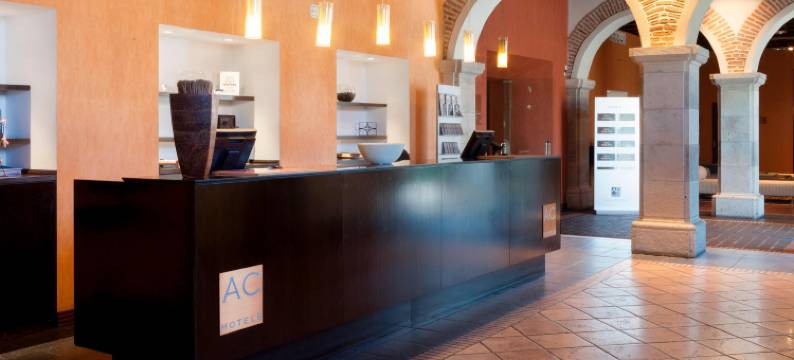 圣安娜帕拉西奥万豪AC酒店(AC Hotel Palacio de Santa Ana)图片