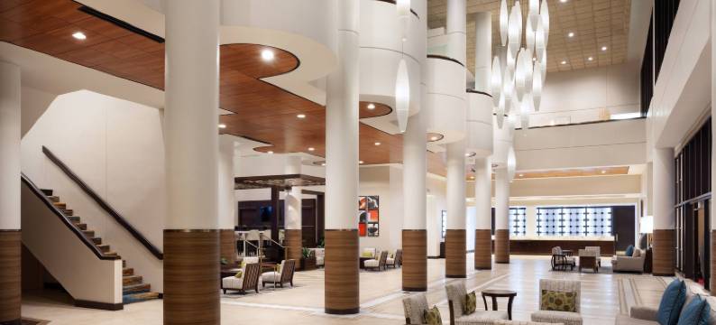 奥兰多机场湖畔万豪酒店(Marriott Orlando Airport Lakeside)图片