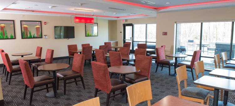 巴特尔克里克TownePlace套房酒店(TownePlace Suites Battle Creek)图片