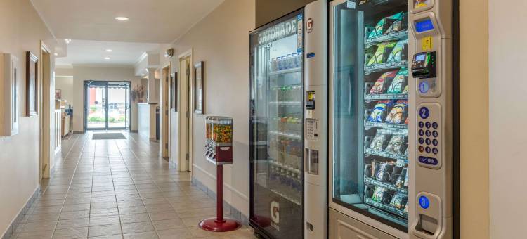 阿姆斯特丹凯艺套房酒店(Quality Inn & Suites Amsterdam)图片