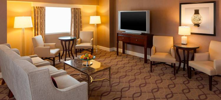梅泰里新奥尔良喜来登酒店(Sheraton Metairie - New Orleans Hotel)图片