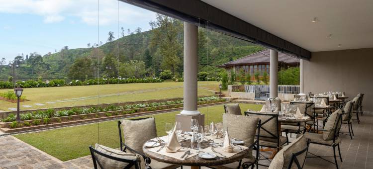 贝尔伍德庄园(The Bellwood Manor)图片